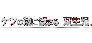 ケツの菊に嵌まる 双生児♪ ()