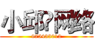 小邱♛网络 (975433012)