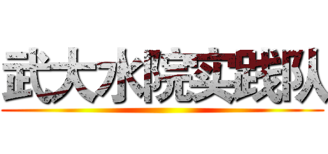 武大水院实践队 ()