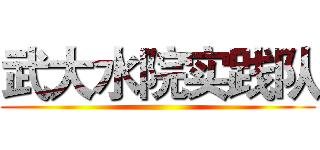 武大水院实践队 ()