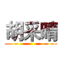 胡采晴 ()