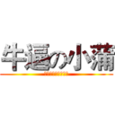 牛逼の小蒲 (小蒲牛逼（绝对的）)