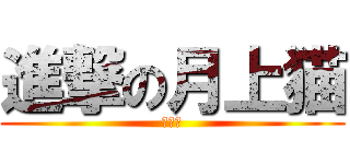 進撃の月上猫 (喵喵喵)