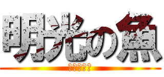 明光の魚 (ふつーです)