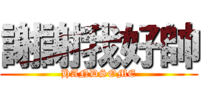 謝謝我好帥 (HANDSOME)