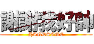 謝謝我好帥 (HANDSOME)