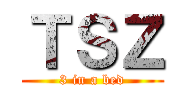 ＴＳＺ (3 in a bed)