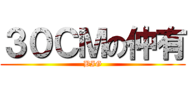 ３０ＣＭの仲有 (BIG)