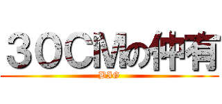 ３０ＣＭの仲有 (BIG)