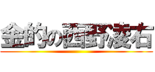 金的の西野凌右 ()