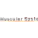 Ｍｕｓｃｕｌａｒ Ｓｙｓｔｅｍ (How Does It Work Together with Other Body Systems?)