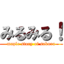 みるみる！ (maple story of sakura)