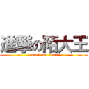 進撃の陌大王 (attack on titan)