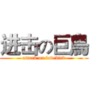 进击の巨鳥 (attack on lovebird)