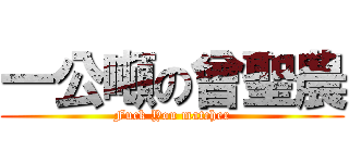 一公噸の曾聖農 (Fuck You matcher)