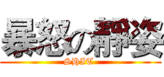 暴怒の靜姿 (SHIT )