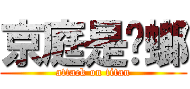 京庭是蟑螂 (attack on titan)