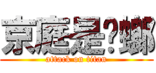 京庭是蟑螂 (attack on titan)