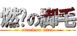 燃烧の脚毛 (attack on titan)