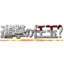 進撃の任玉婷 (attack on titan)