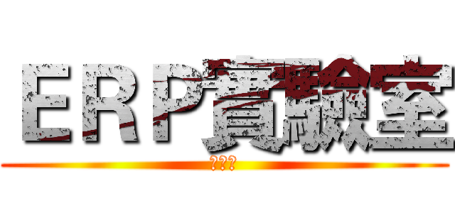 ＥＲＰ實驗室 (任清汶)