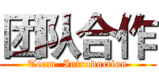 团队合作 (Team  Introduction)