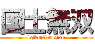 国士無双 (kokusimusou)