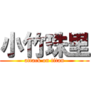 小竹珠里 (attack on titan)