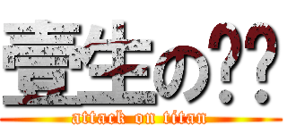 壹生の挚爱 (attack on titan)