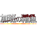 加班の雜魚 (attack on titan)