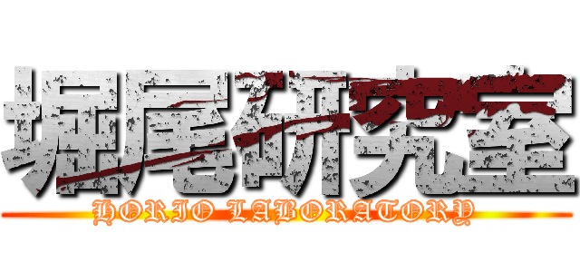 堀尾研究室 (HORIO LABORATORY)