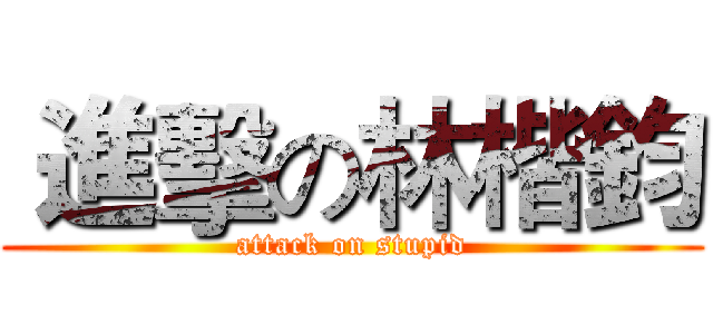  進擊の林楷鈞 (attack on stupid)