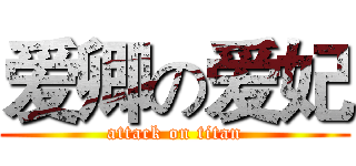 爱卿の爱妃 (attack on titan)