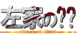 左家の车队 (attack on titan)