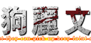 狗 麗 文 ( Her ears are so sensitive that they can pick up very faint sounds from a long way away)