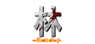 林 (  A n d y)