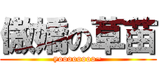 傲嬌の草苗 (yoooooooo~)