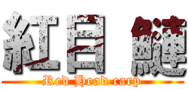 紅目  鰱 (Red Head carp)