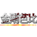金剛芭比 (20)