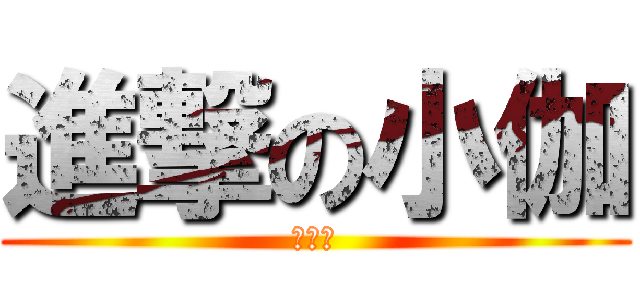進撃の小伽 (すごい)