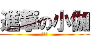 進撃の小伽 (すごい)
