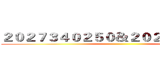 ２０２７３４０２５０＆２０２７３４０２４８ ()