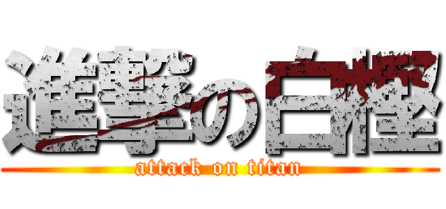 進撃の白樫 (attack on titan)