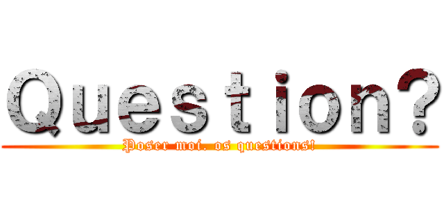 Ｑｕｅｓｔｉｏｎ？ (Poser moi. os questions!)