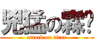 兇猛の霖ㄟ (attack on titan)