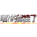 晒盘的都挂了 ()