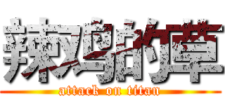 辣鸡的草 (attack on titan)
