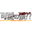 可愛の張豔豔 (cute teddy)