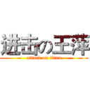 进击の王萍 (attack on titan)