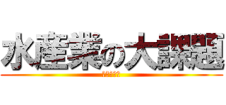水産業の大課題 (やばいやつ)